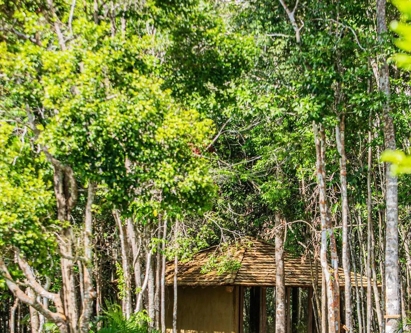 Casa vacanze Casa Selva Trancoso Villa Porto Seguro